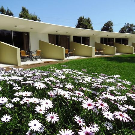 El Paso Park Hotel Arica Exterior photo